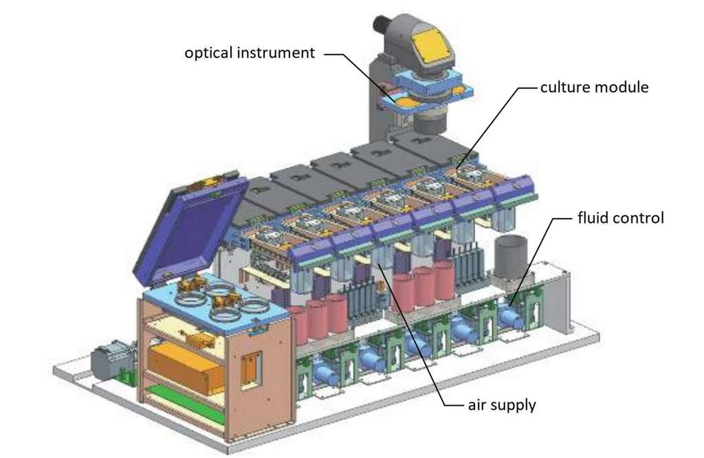 Un schéma de l’utérus artificiel avec la nounou robotique. © Suzhou Institute of Biomedical Engineering and Technology