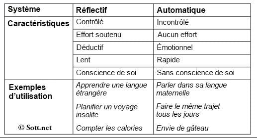 Les systèmes de réflexion et d'automatisme-MindSpace