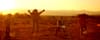 Coldplay – Paradise