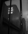 Josh Cole, le photographe de la rue