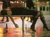 6 jeunes réalisateurs pour 6 films contre le « binge drinking »
