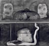 Roger Ballen : Asylum of the Birds