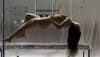 La folie des clips de FKA twigs