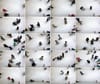 LES LABYRINTHES DE MARIO ROSSI