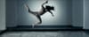 Top 5 des films publicitaires de la semaine #8