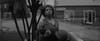 Le dernier clip renversant de Melody Gardot