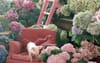 Luke Losey s’associe à Tim Walker pour signer un film pour Mullberry