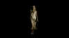 Ray of Life d’Asa Mader