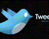 Twitter & les artistes