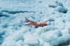 Ryan Mcginley : Réchauffement érotique