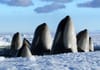 Wonderful World – BBC
