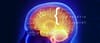 L’intelligence proviendrait d’un algorithme dans le cerveau humain