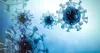 Après le Covid, voici « Langya » un nouveau virus détecté en Chine, 35 personnes infectées