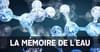 Lumière sur la Mémoire de l’Eau