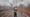 BROOKLYN EN 3.000 PHOTOS