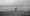 DOWN WITH THE SHIP – SILENCIO