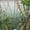 Les plus belles photos de Google Street View