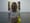 CONTRARIAN Steven Mark Klein The Room 21’9″ x 25’8″