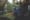 Mystery Jets – Someone Purer