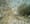 Soko – We Might Be Dead By Tomorrow