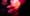 Sensual Harassment – Disco Heart