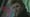 Drew Barrymore – Best Coast