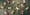 tUnE-yArDs – Bizness – clippé par l’incroyable Mimi Cave