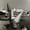 Peter Hujar: le dernier photographe de l’underground New-Yorkais