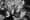 Hasse Persson dévoile les photos exclusives du Studio 54