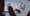 Hornbach : Come black home