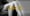 A.P.C : Atelier de Ploucs Communautaire