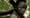 Kony 2012 : le film au 65 millions de vues en 3 jours