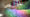 So-Me réalise « It’s Working » pour MGMT