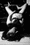 DISAPPOINTED VIRGINITY : L’EROTISATION DU GIF