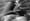 Lucien Clergue : le photographe aux 800.000 négatifs