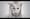 Die Antwoord – Tension