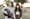 Jeremy Konner réalise « Don’t Look Back » pour le groupe She & Him