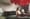 Tom Feiler – « Sometimes I Dream Of Reindeer »