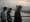 The Drums – « Money »