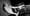 JAMES LEG – L’animal en nous