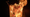 Variation sur les Incendies de Novembre