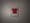 NOT VOGUE Logo [virus] 2018