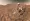 Des nouvelles preuves montrent qu’une ancienne vie microbienne aurait pu exister sur Mars