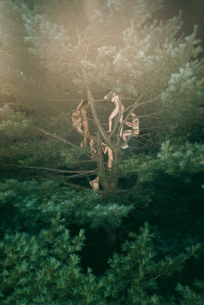 016_RyanMcGinley