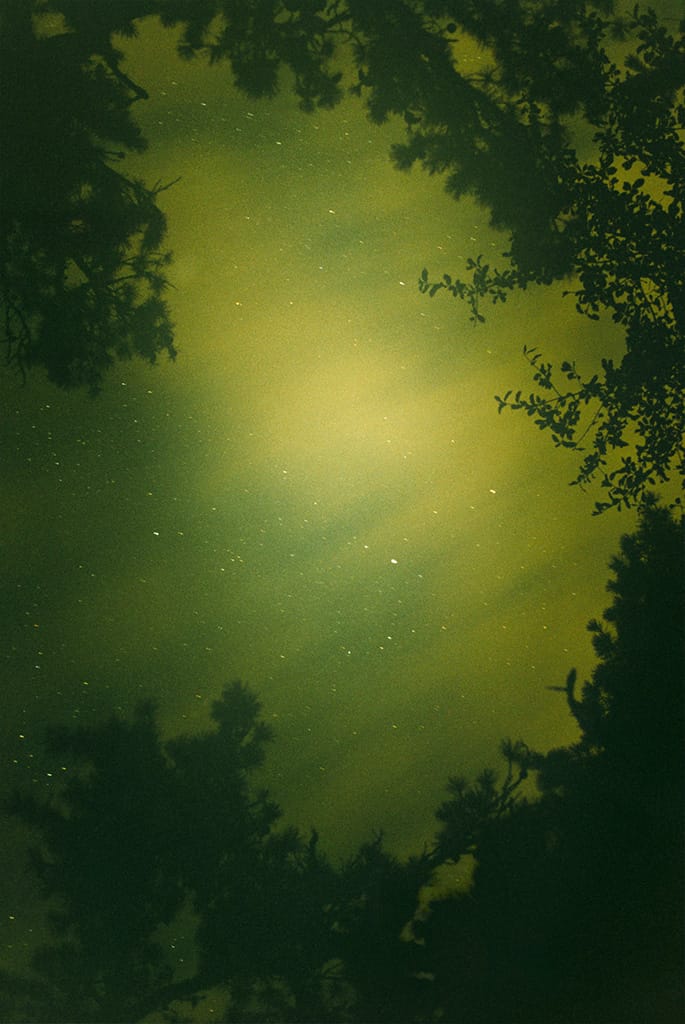 026_RyanMcGinley