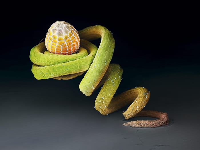 121
