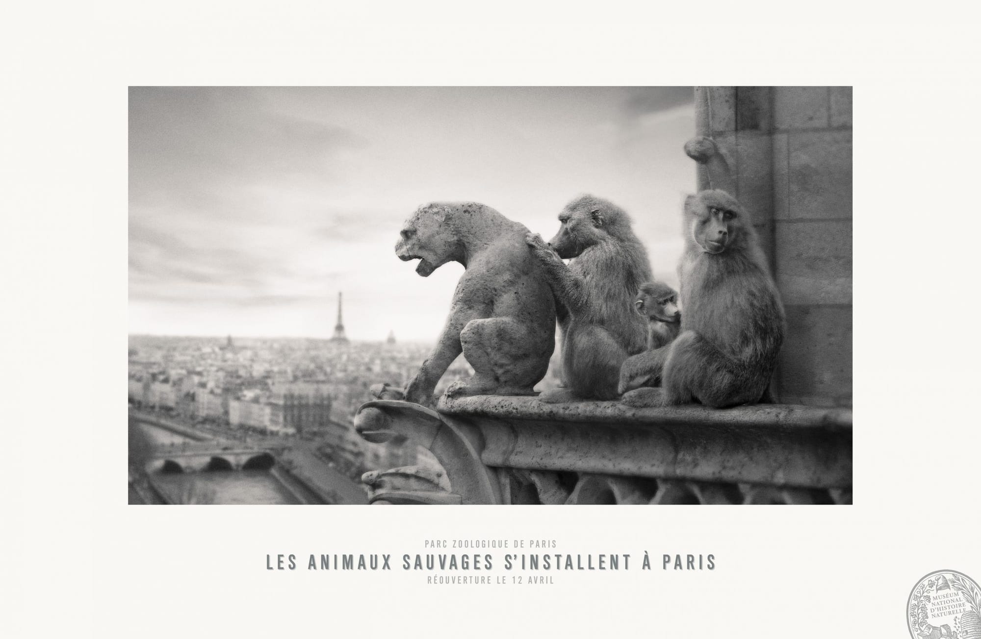 17_2014-311photo-publiciscons-pariszoo-notredam-1551-1024x668