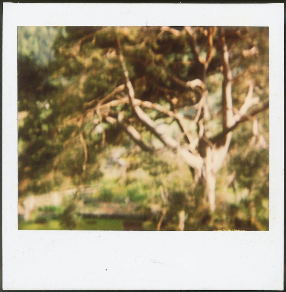 1_0352_LastStudy-2