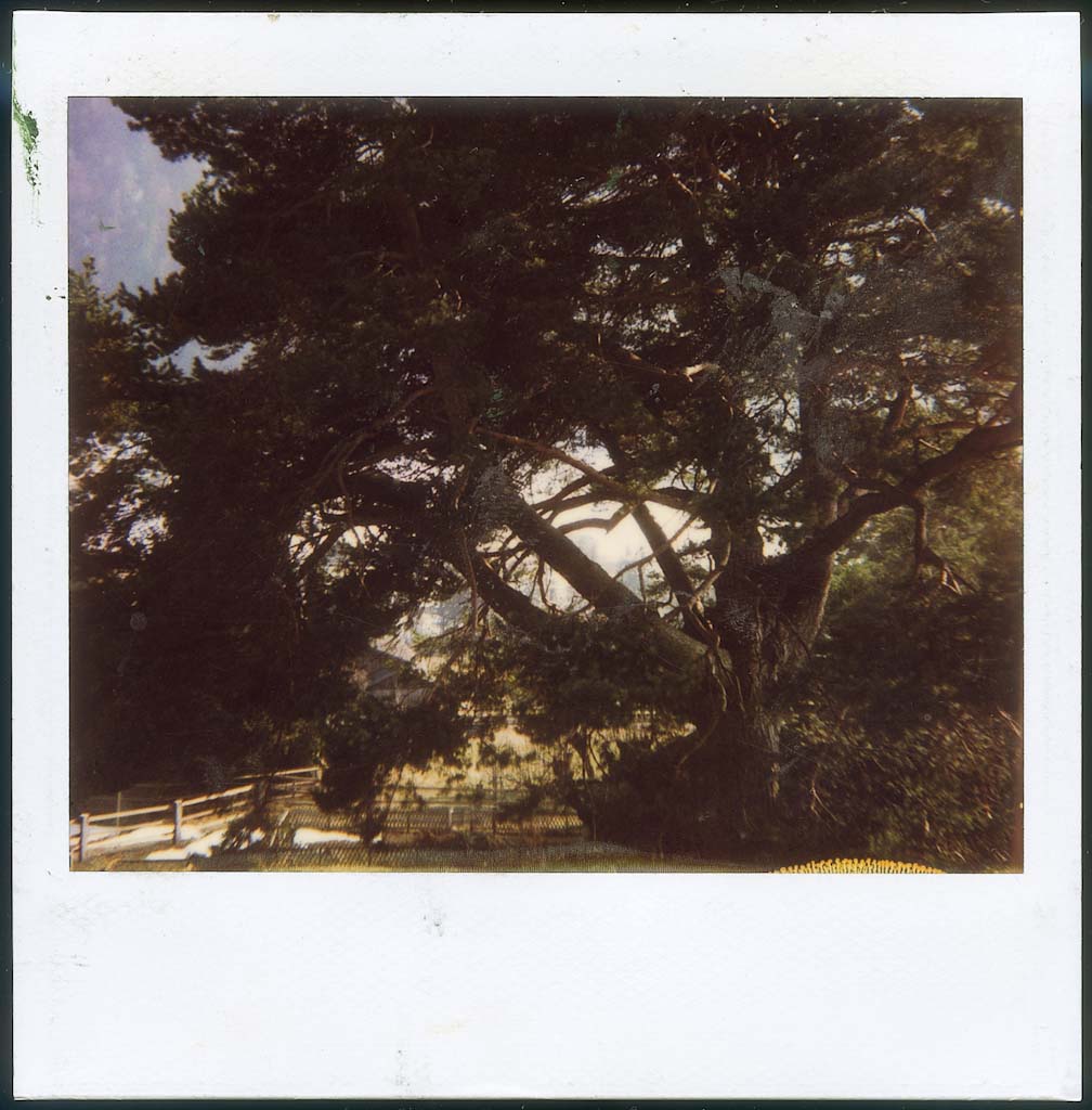 4_1042_LastStudy-5