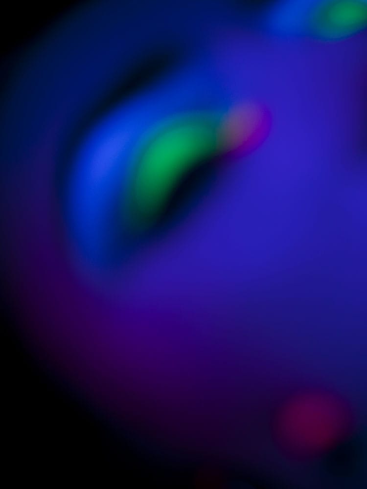 5226_image_448005